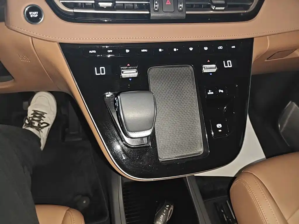 Hongqi HQ9 PHEV 2025 2024 Model 2.0T AWD Business Edition