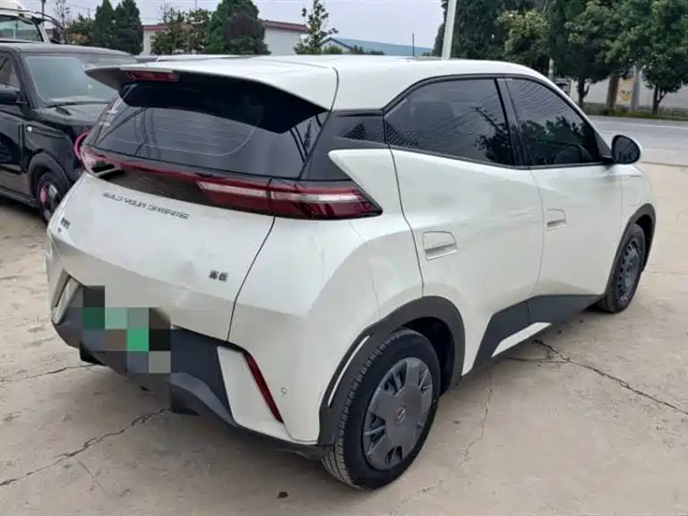 BYD Seagull 2024 Glory Edition 305km Vitality Edition фото 4