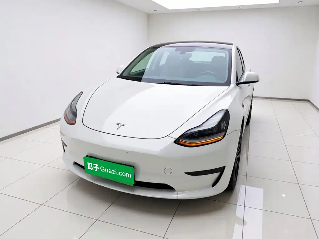 Tesla Model 3 2019 Standard Range Rear-Wheel Drive Upgrade