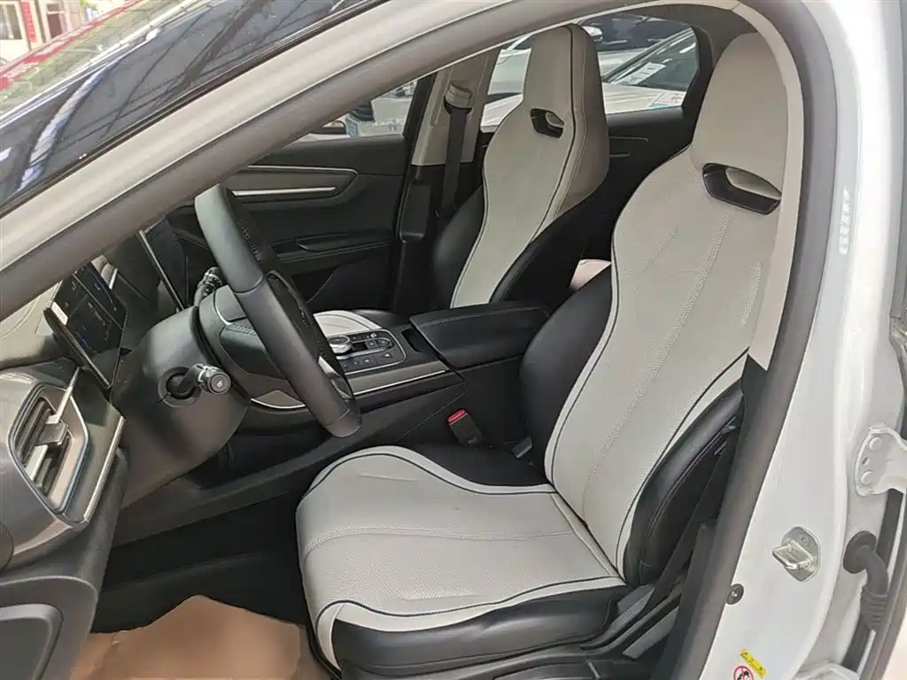 BYD Destroyer 05 2024 Glory Edition DM-i 55KM Luxury фото 15