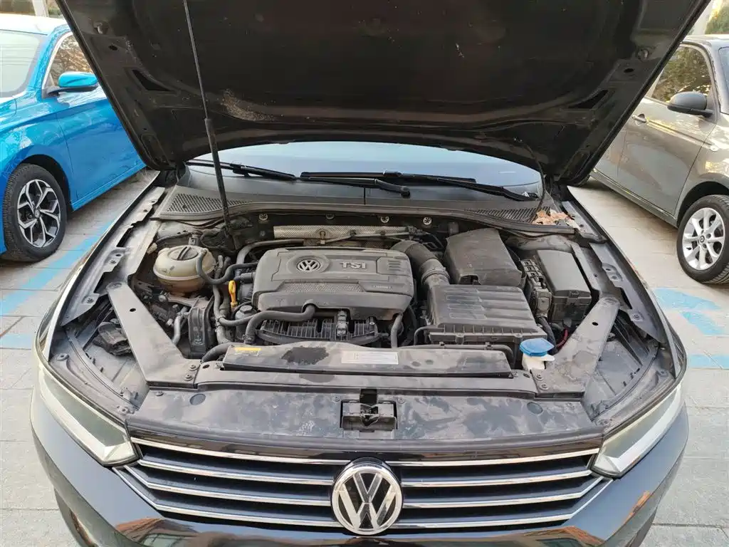 Volkswagen Magotan 2018 330TSI DSG Leading фото 20