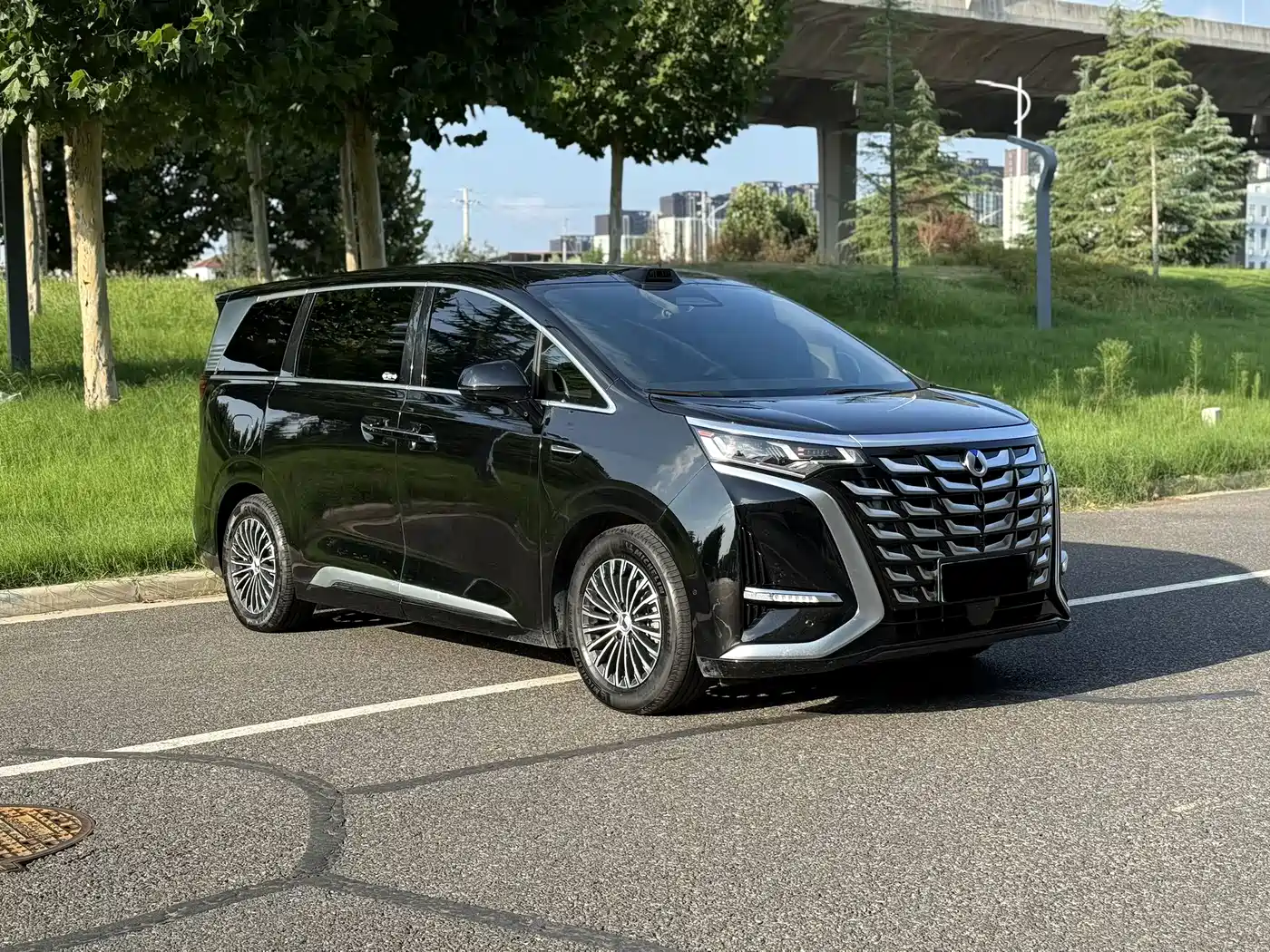 2026 Denza D9