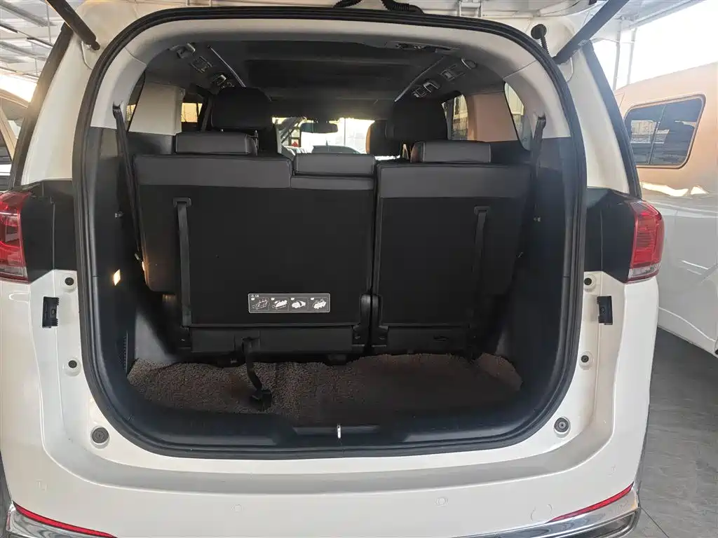 GAC Trumpchi Trumpchi M8 2021 Leading Show Series 390T Ultimate Edition фото 9