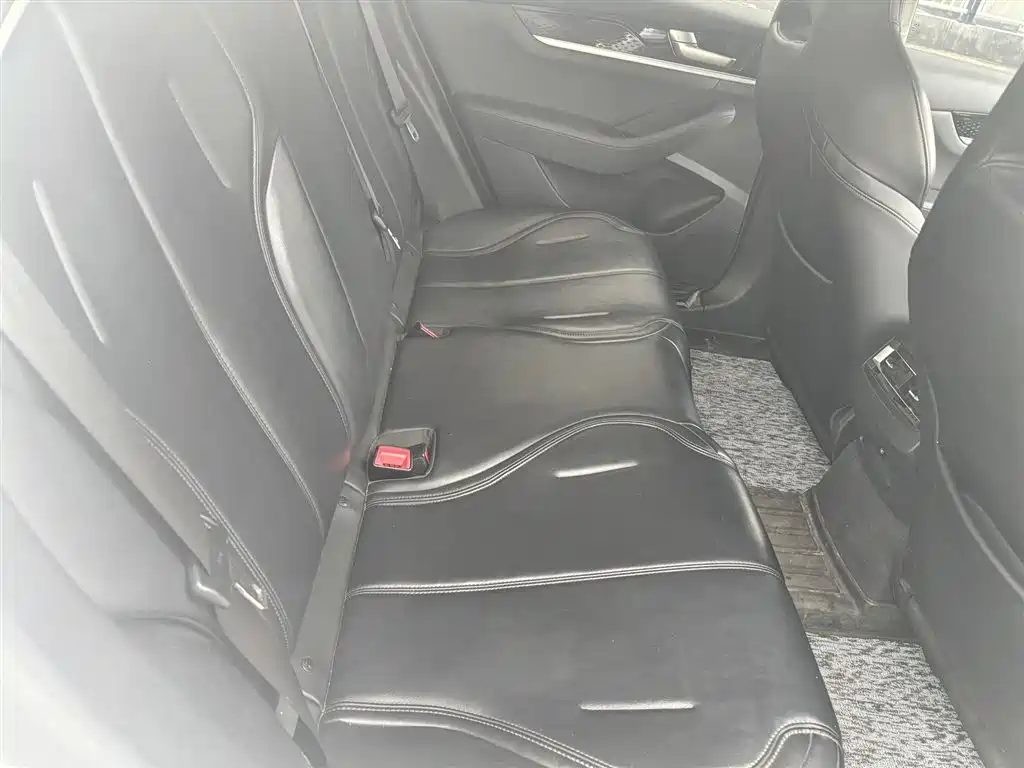 BYD Qin PLUS 2021 EV 400KM Premium Edition фото 7