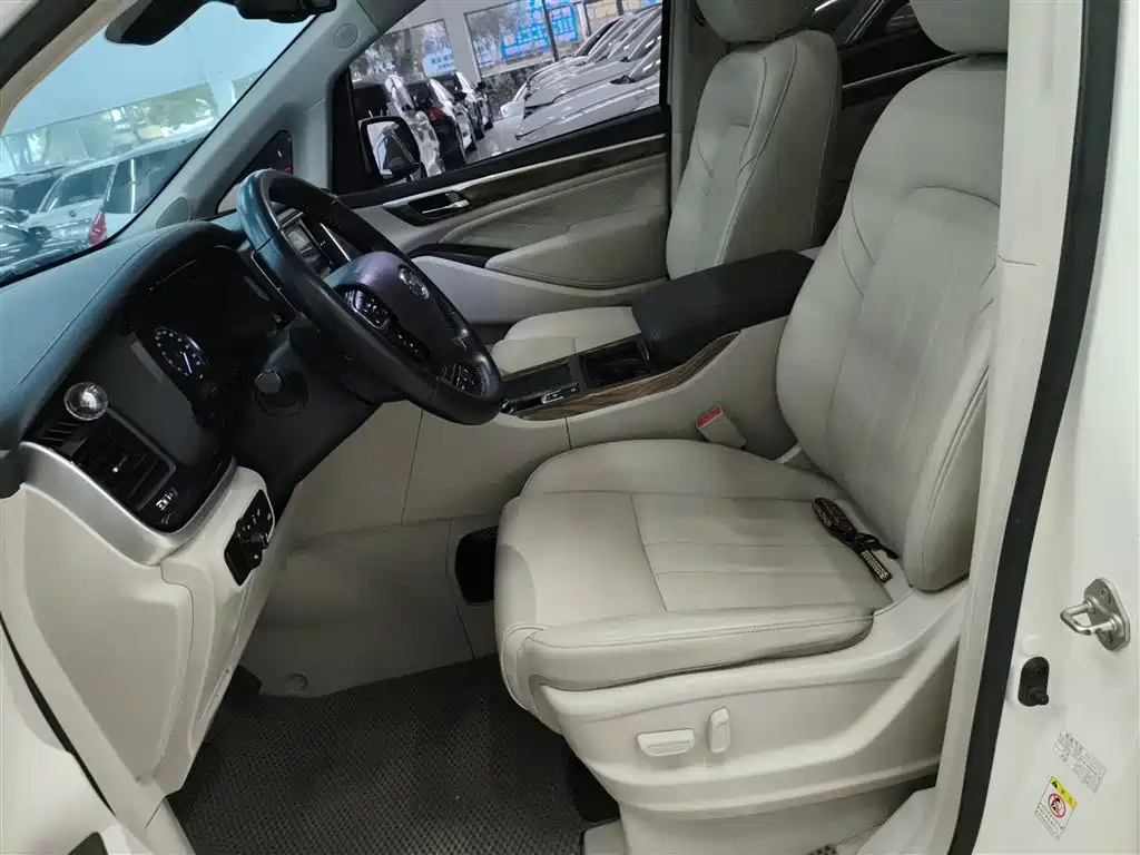 GAC Trumpchi Trumpchi M8 2018 320T Premium Edition фото 15
