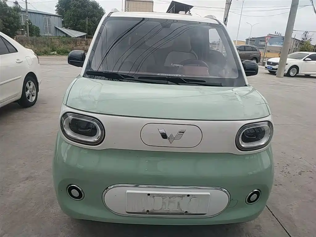Фото 3 - Wuling Motors Hongguang MINIEV