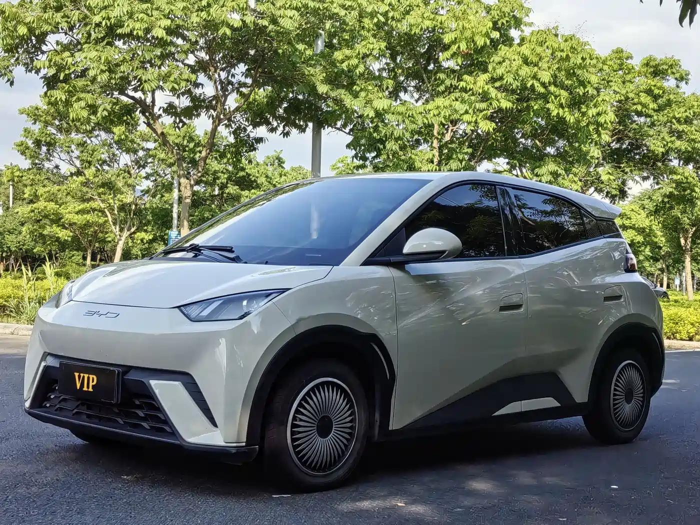 BYD Seagull 2023 Vitality Edition