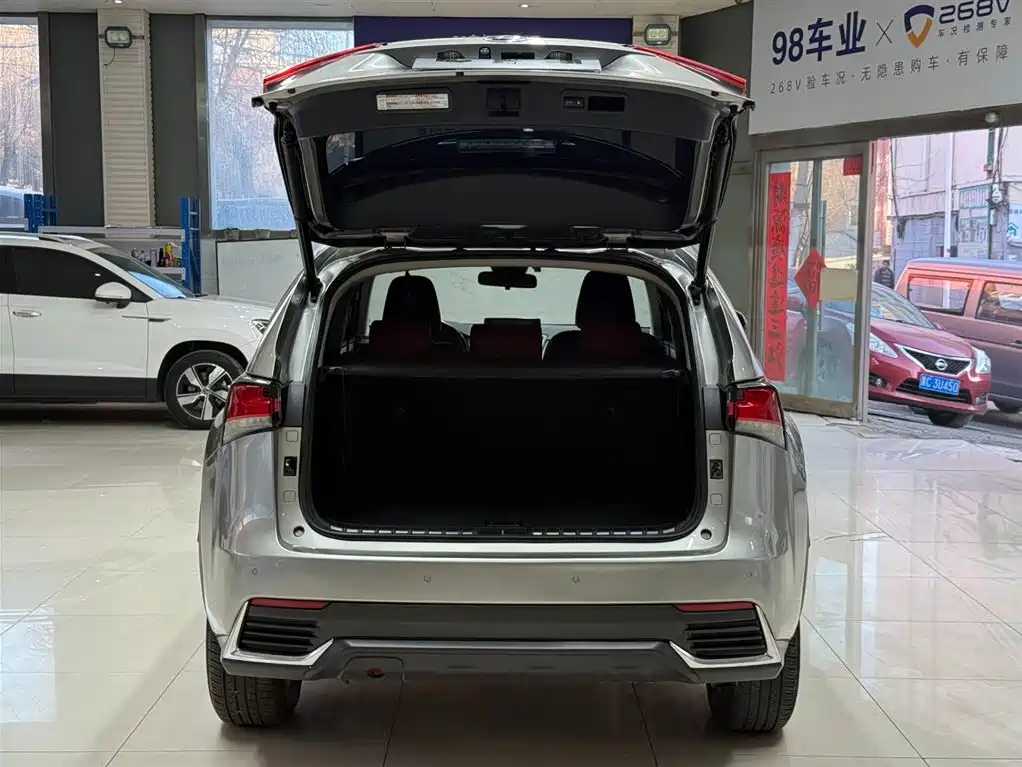 Lexus NX 2020 200 AWD F Sport China VI фото 23