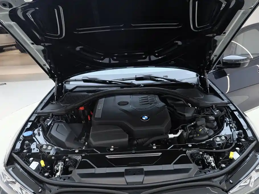 BMW 3 Series 2025 330Li M Sport Night Edition фото 12