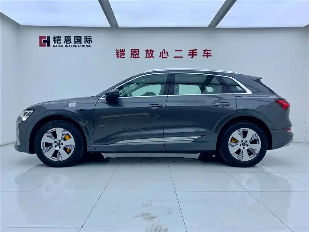 Audi e-tron 2021 50 quattro Luxury фото 3
