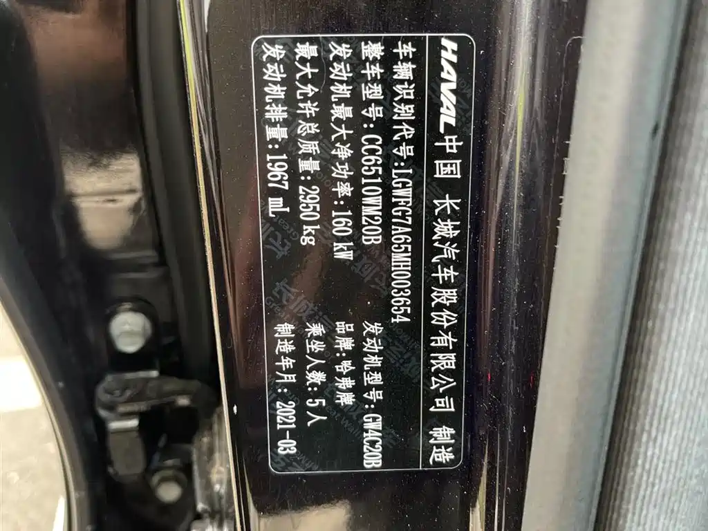 Haval H9 2020 2.0T Gasoline 4WD Elite 5-Seater фото 18