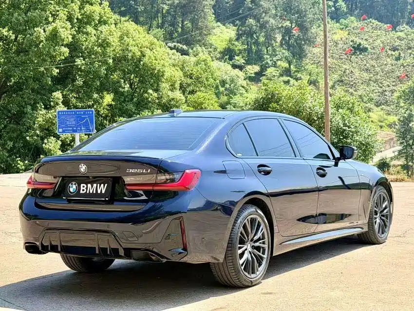 BMW 3 Series 2023 325Li M Sport Black Night Package фото 9
