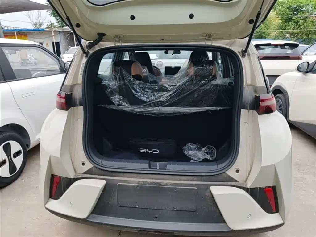 BYD Seagull 2025 Smart Drive Edition 305km Vitality Version фото 19
