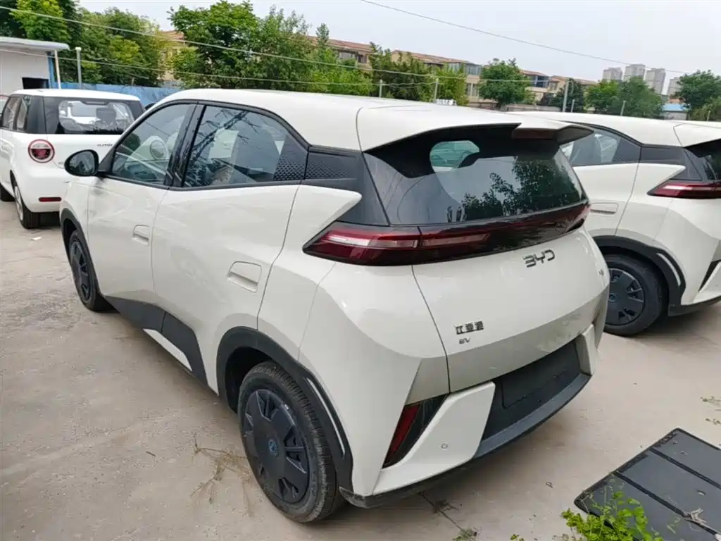 BYD Seagull 2025 Smart Drive Edition 305km Vitality Version фото 5