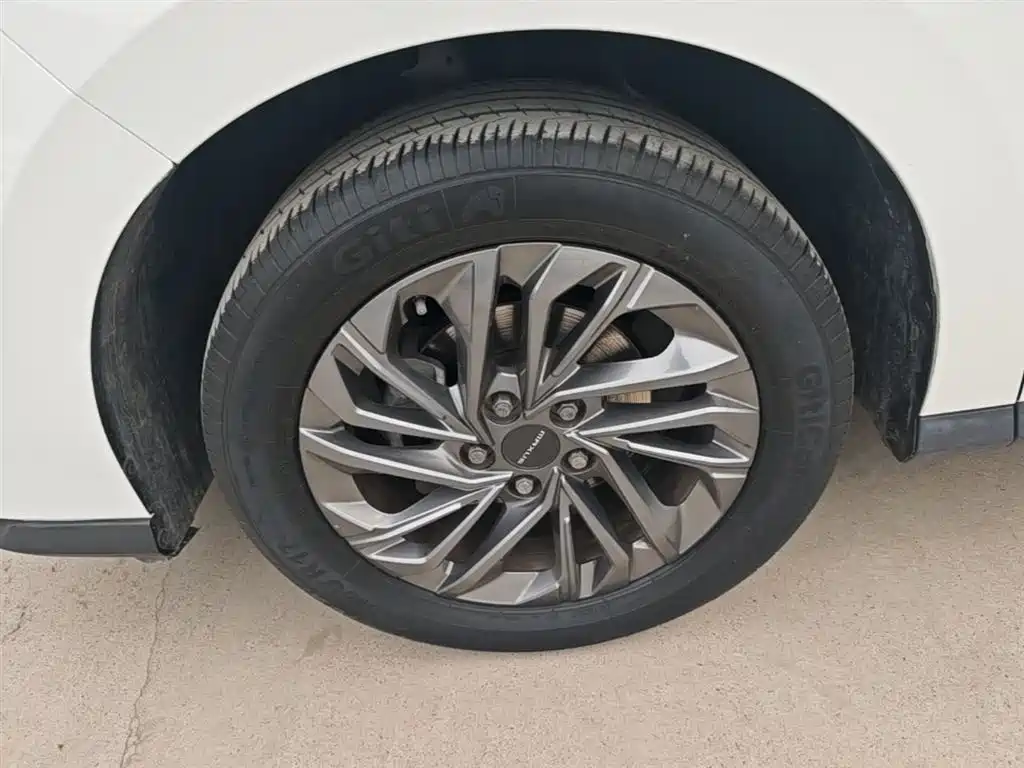 SAIC Maxus Maxus G50 2019 1.5T First Edition Automatic Luxury 6-Seater фото 23