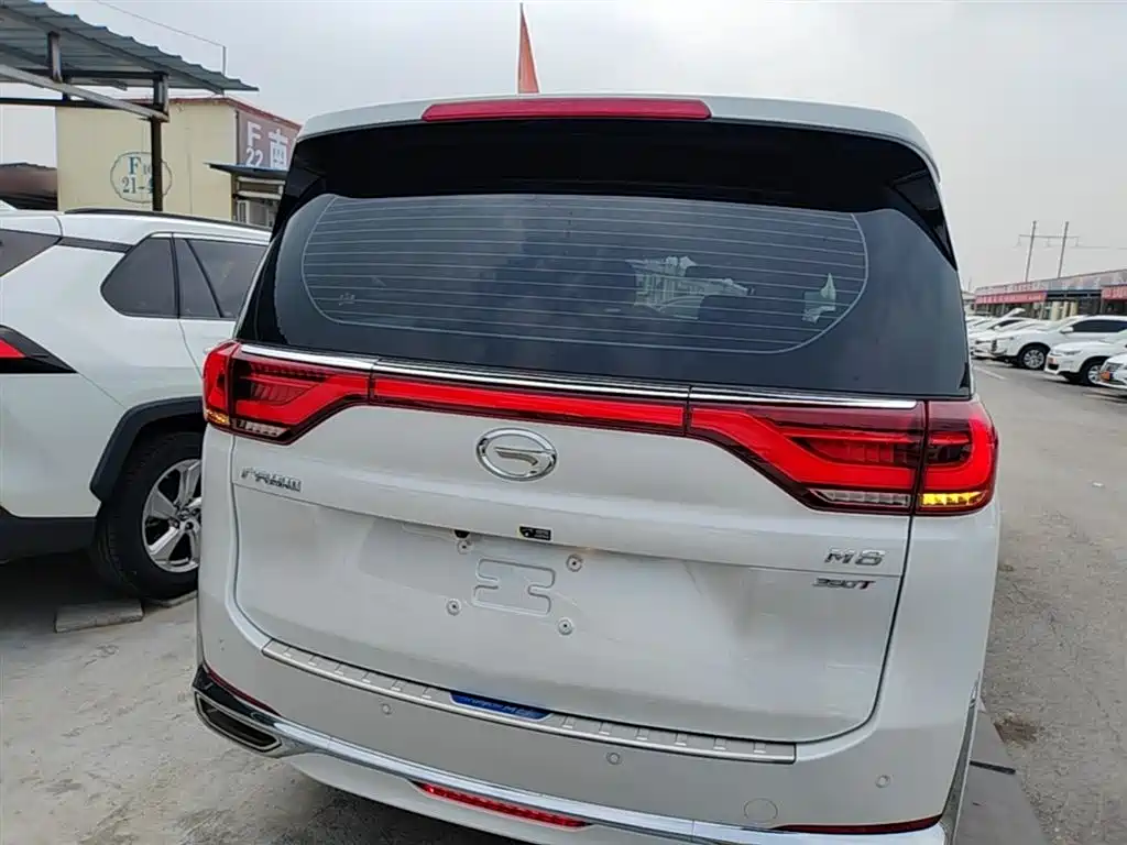 GAC Trumpchi Trumpchi M8 2023 Leading Series 390T Luxury Edition фото 6