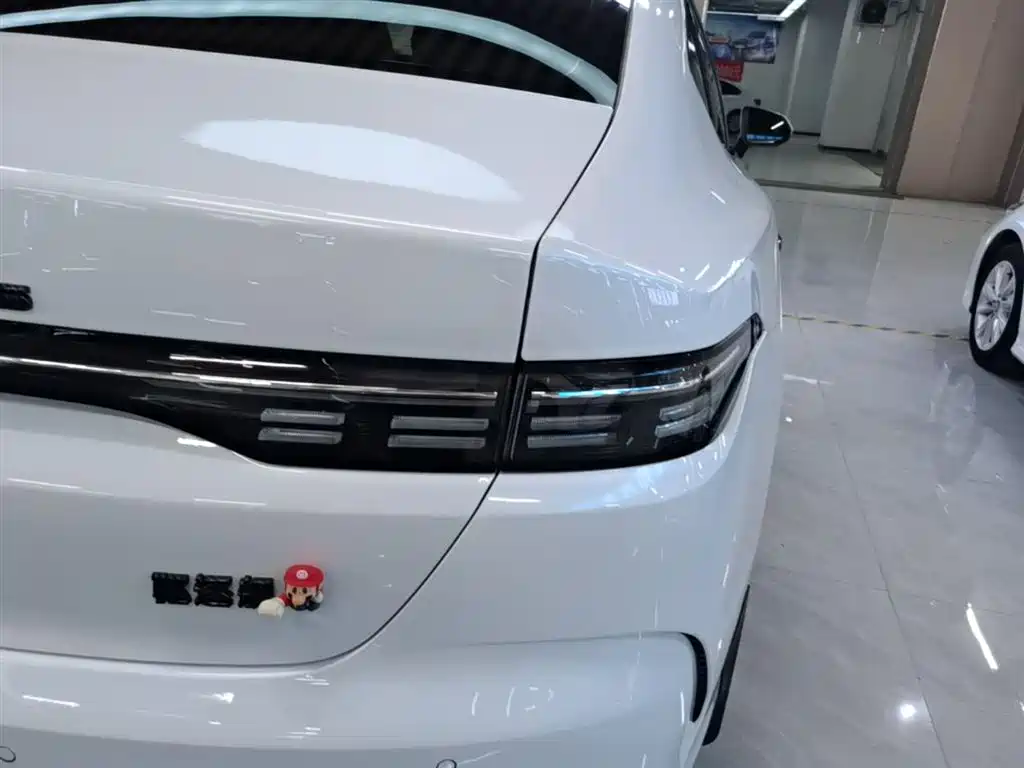 BYD Destroyer 05 2024 Glory Edition DM-i 55KM Luxury фото 8