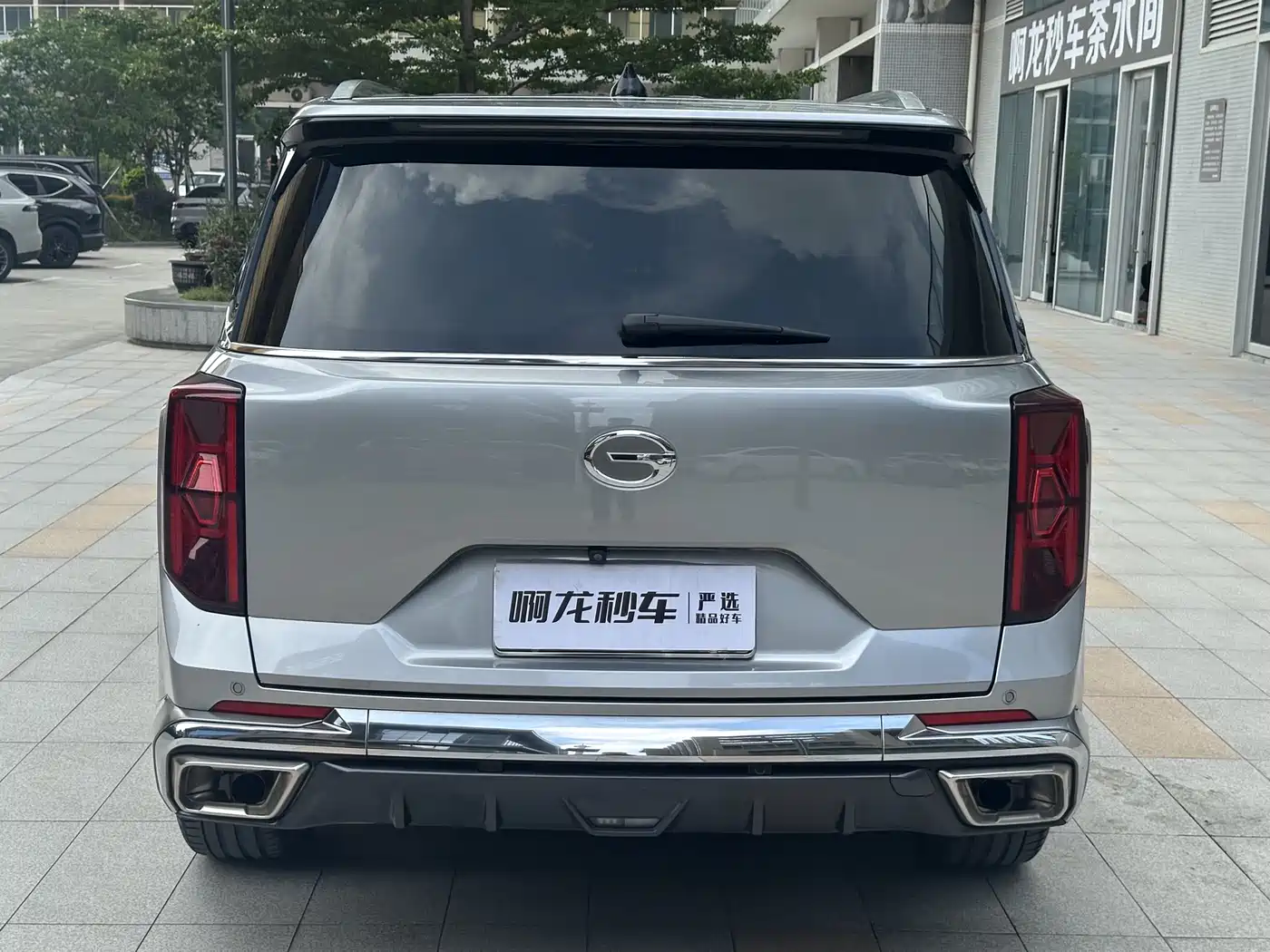 GAC Trumpchi Trumpchi GS8 2022 Dual Engine Series 2.0TM 2WD Premium Edition (7-Seater) фото 5