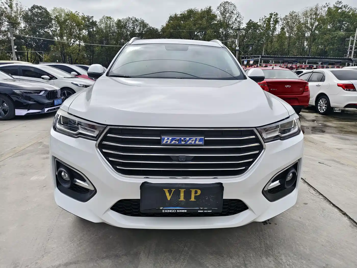 HAVAL H6