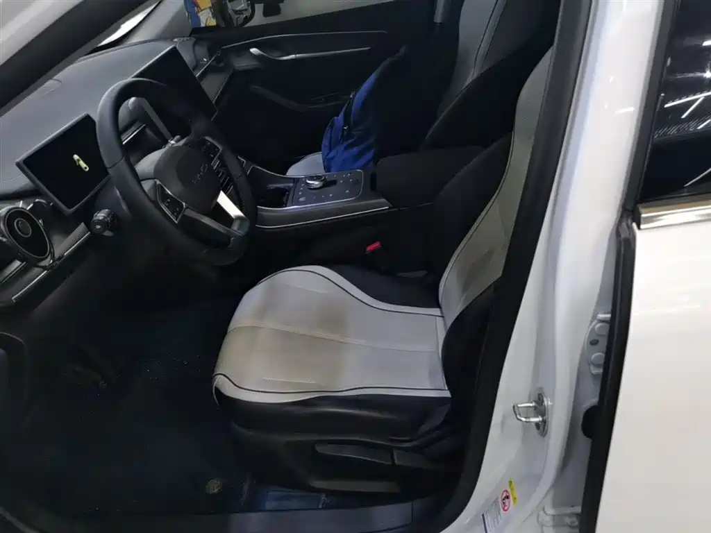 BYD Destroyer 05 2024 Glory Edition DM-i 55KM Luxury фото 15