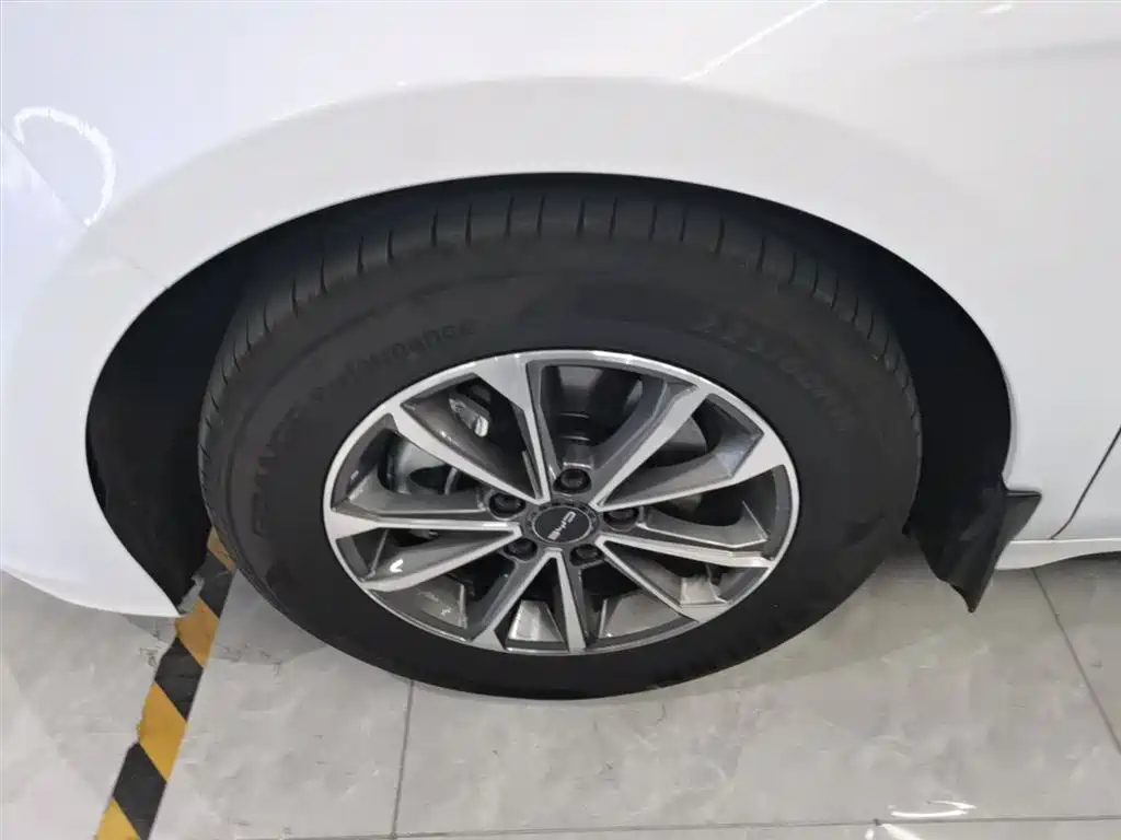 BYD Destroyer 05 2024 Glory Edition DM-i 55KM Luxury фото 23