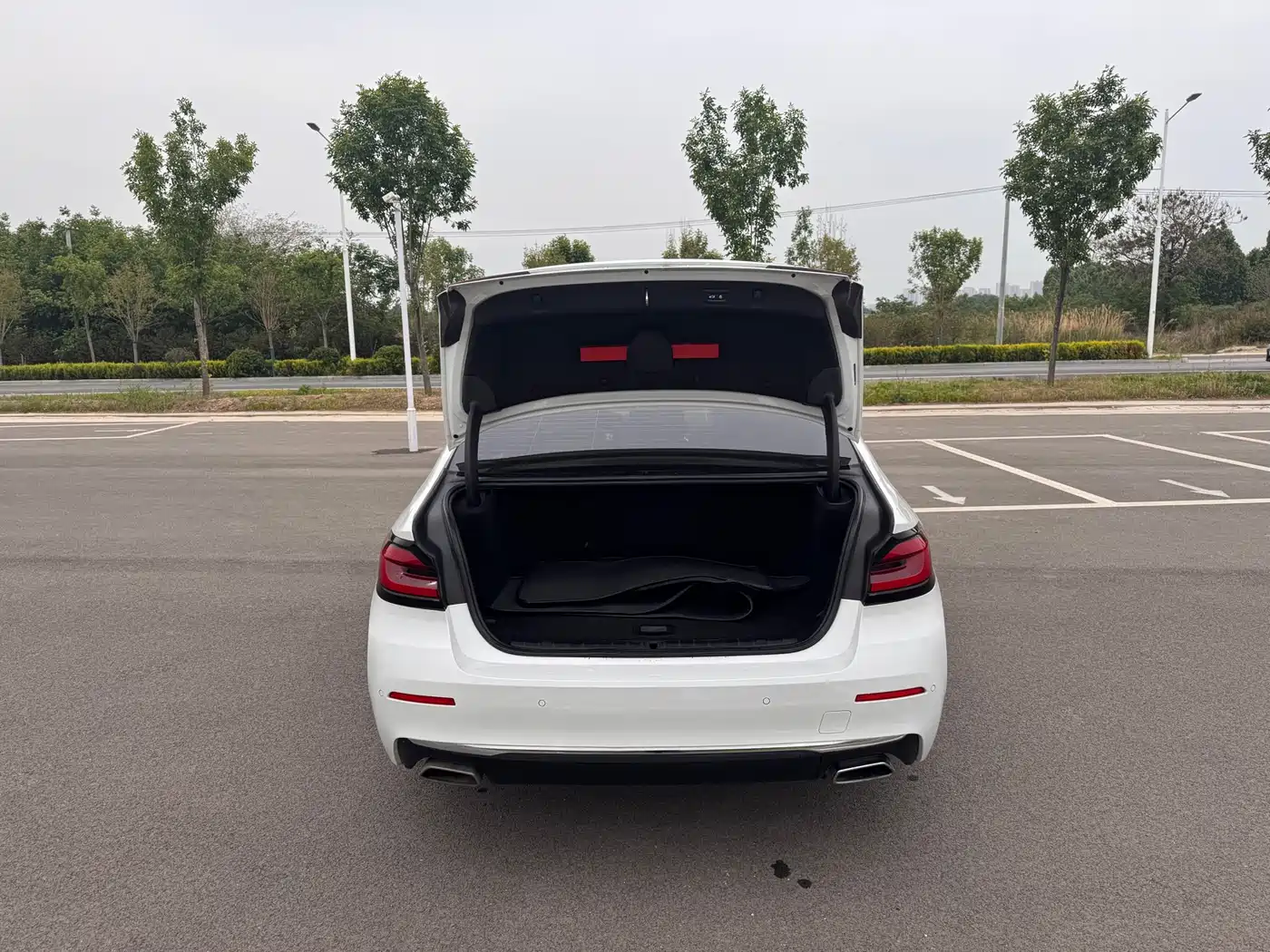 BMW 5 Series New Energy 2021 535Le Luxury Package фото 8