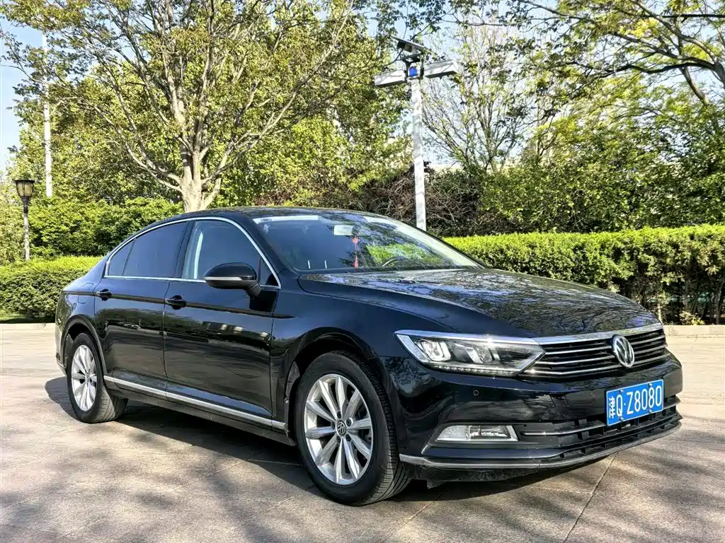 Volkswagen Magotan 2019 330TSI DSG Leading China V фото 3