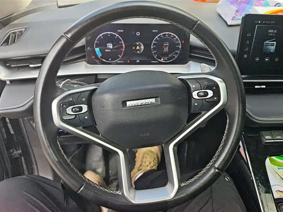 Haval H6 2022 3rd Gen 1.5T Auto 2WD Pro фото 14