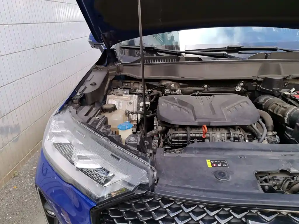 Фото 20 - Haval H6