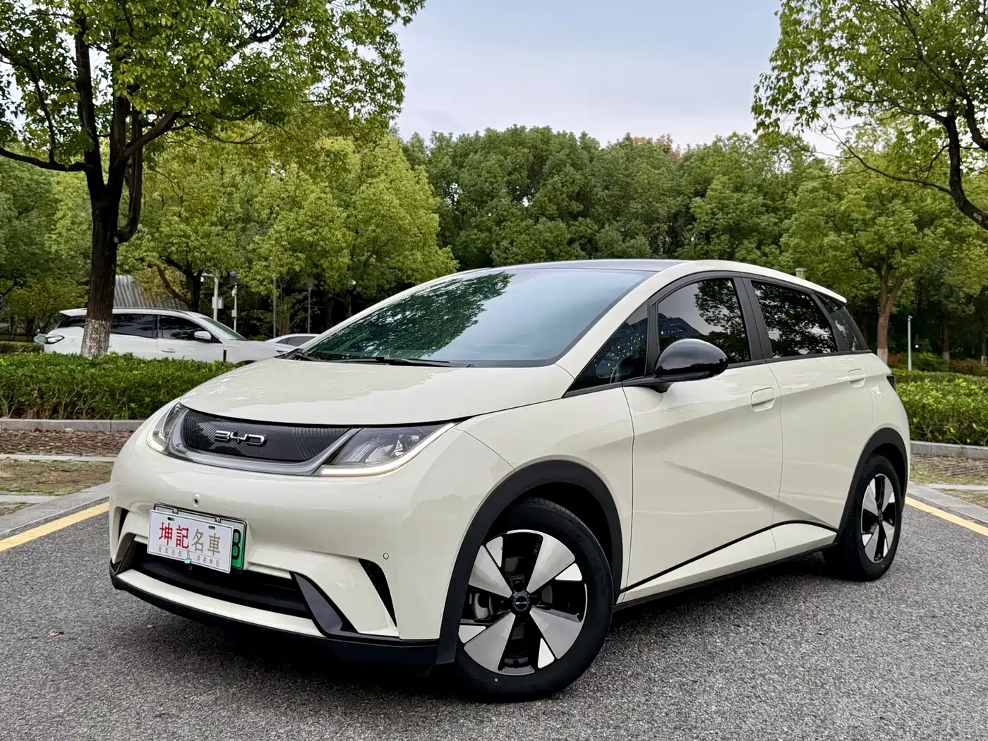 BYD Dolphin 2023 420km Fashion Edition
