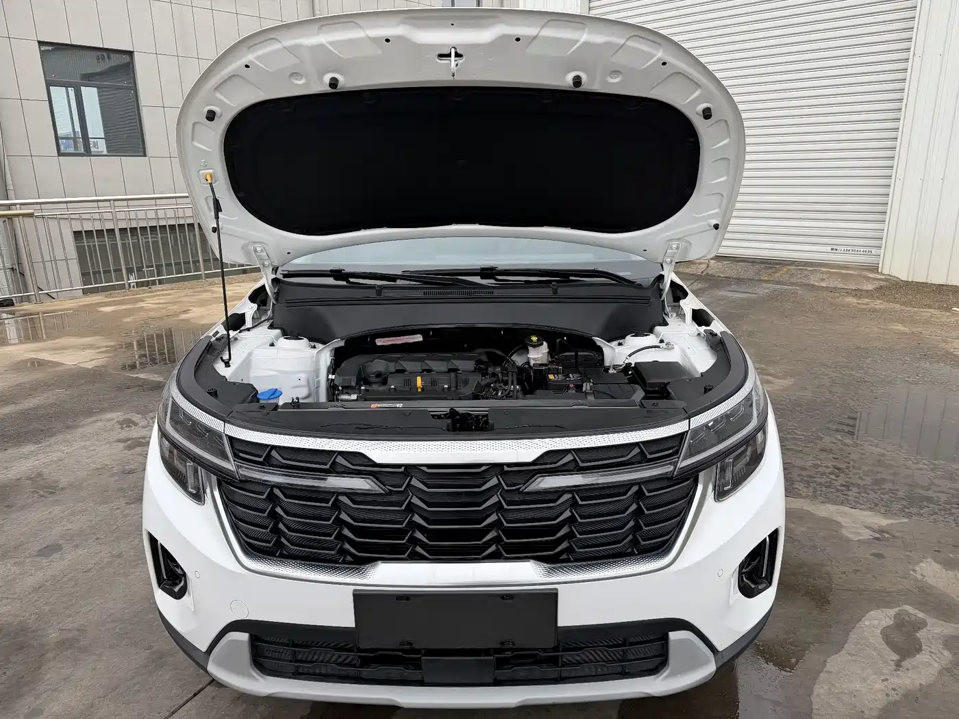 Kia Seltos 2023 1.5L CVT Luxury Edition фото 13