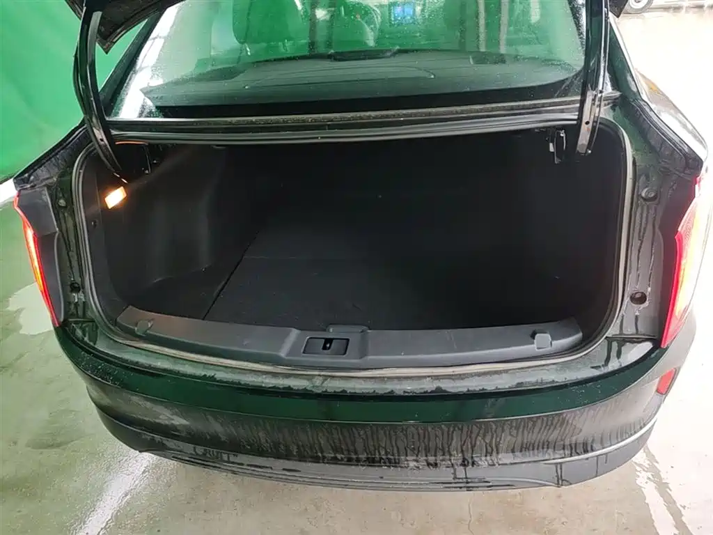 Hongqi E-QM5 2021 Charging Flag Joy Edition фото 19
