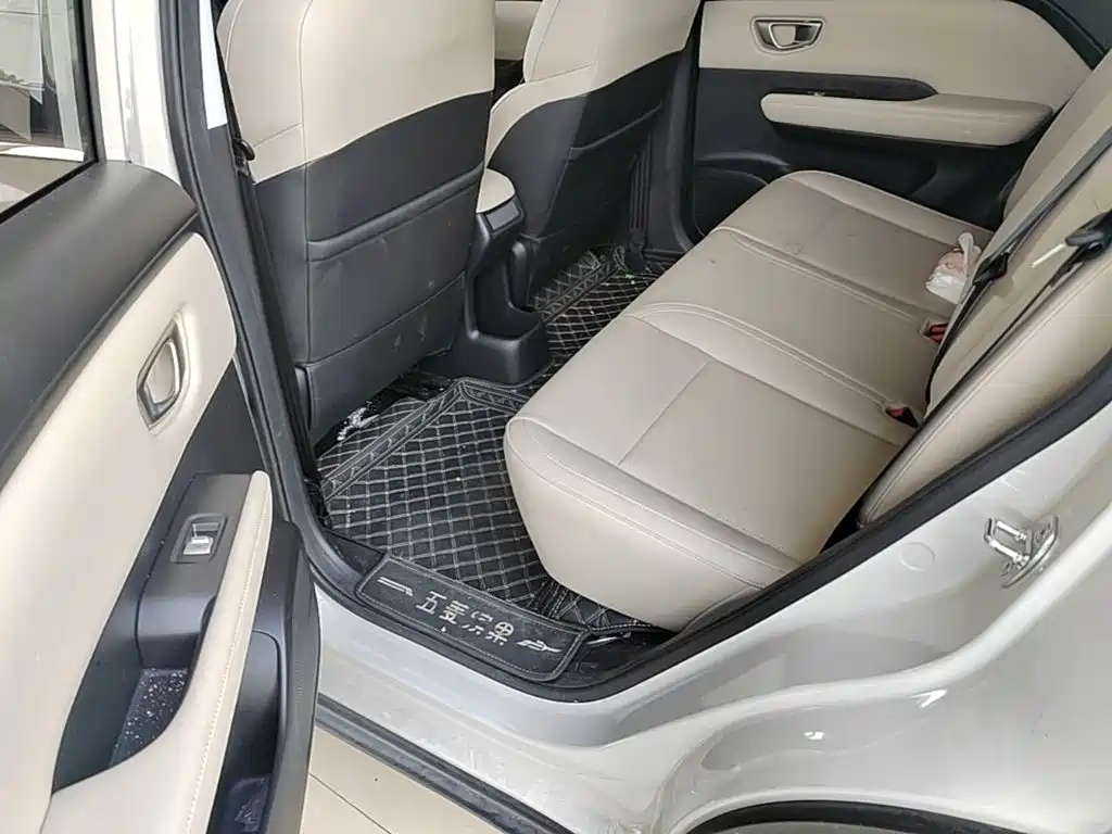 Wuling Motors Wuling Binguo PLUS 2024 2024 Model 330km 5-Seater