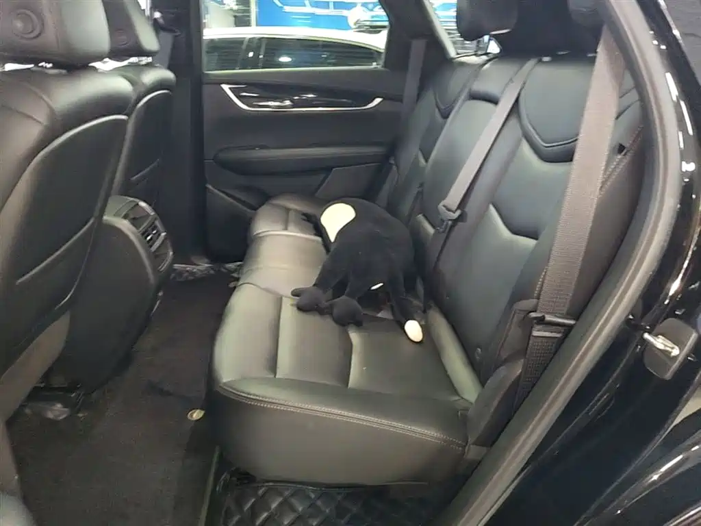 Cadillac XT5 2022 2.0T 2WD Luxury фото 17