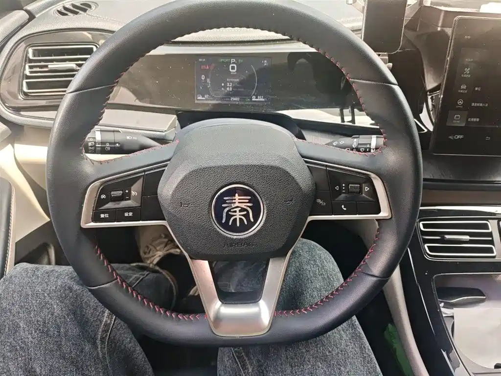 BYD Qin PLUS 2021 DM-i 55KM Premium фото 6