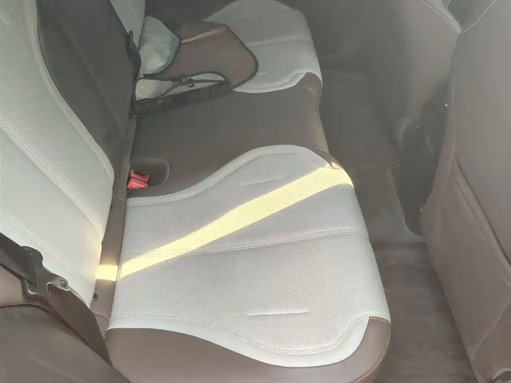 BYD Qin PLUS 2024 Glory Edition DM-i 55KM Leading фото 14