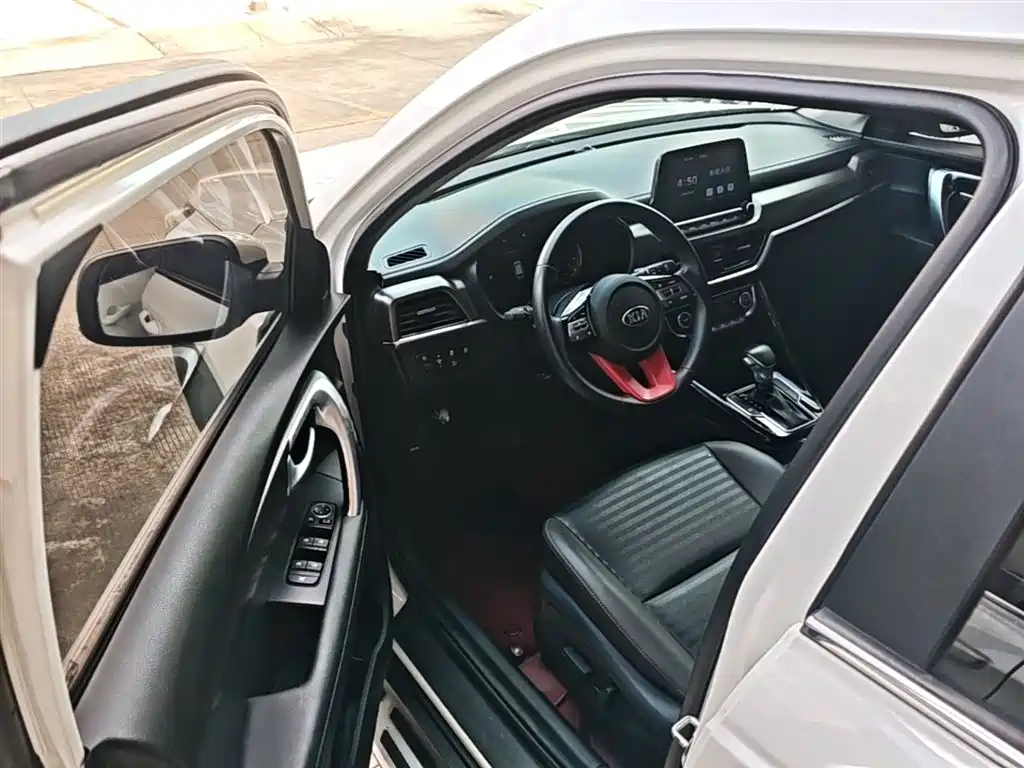 Kia Sportage 2018 2.0L Automatic Smart Luxury (China V) фото 16