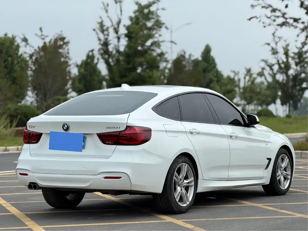 BMW 3 Series GT 2020 320i M Sport Package фото 9
