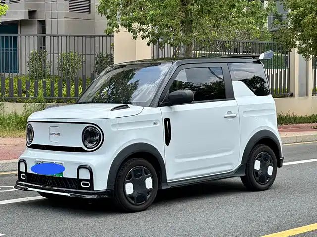 Geely Galaxy Panda 2025 Model Year 210km Panda Kart