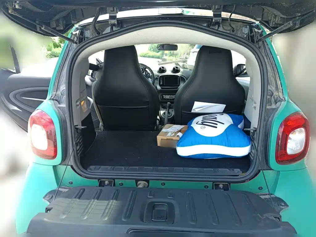 smart fortwo 2019 2019 0.9T 66kW Hardtop Pioneer Edition China VI