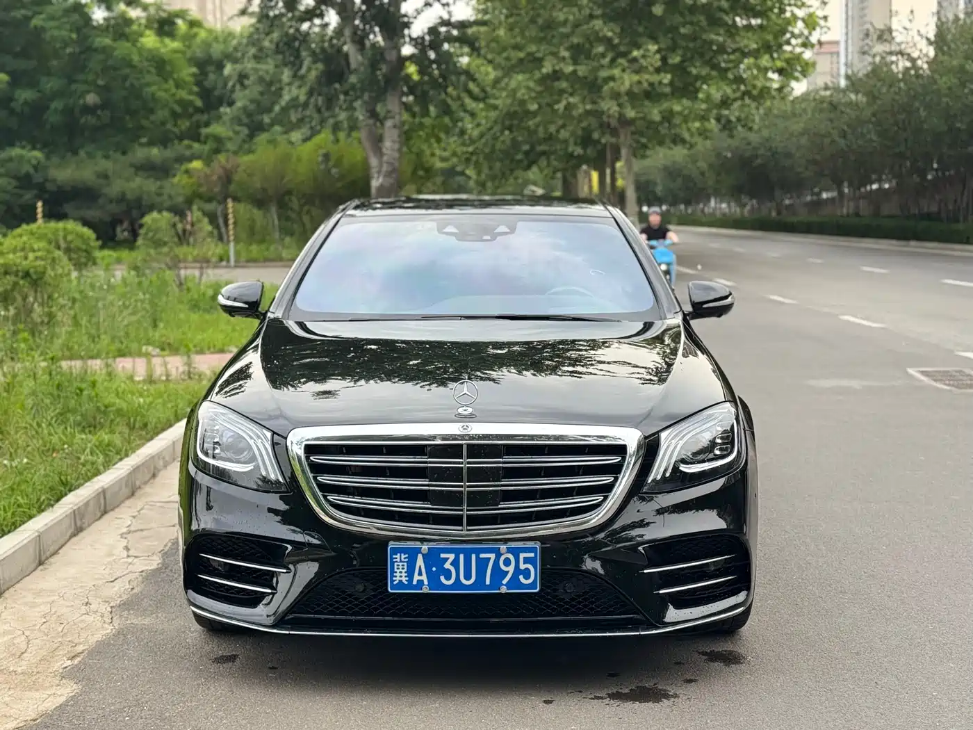 Mercedes-Benz S-Class 2020 S 450 L 4MATIC Collector's Version фото 2