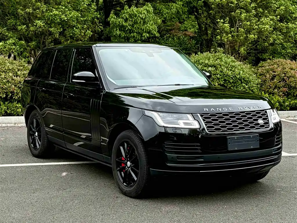 Land Rover Range Rover 2021 3.0 L6 Golden Age Edition фото 5