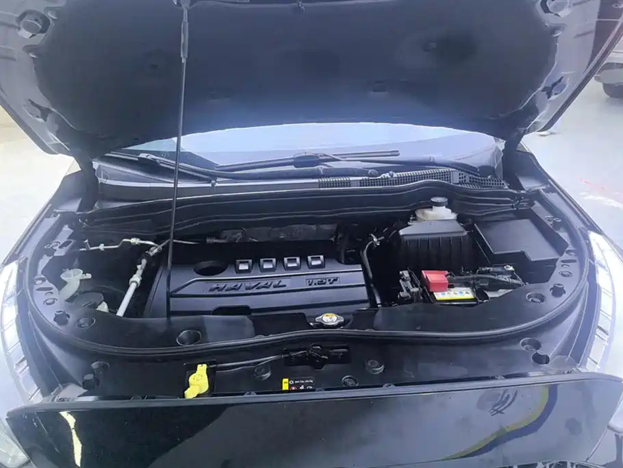 Haval M6 2019 1.5T DCT 2WD Value Edition (China VI) фото 10