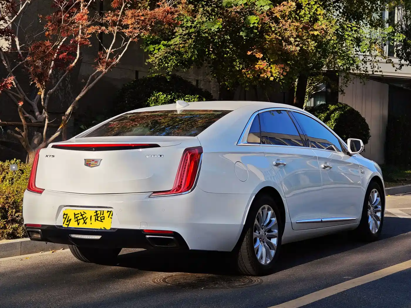 Cadillac XTS 2018 28T Elite фото 6