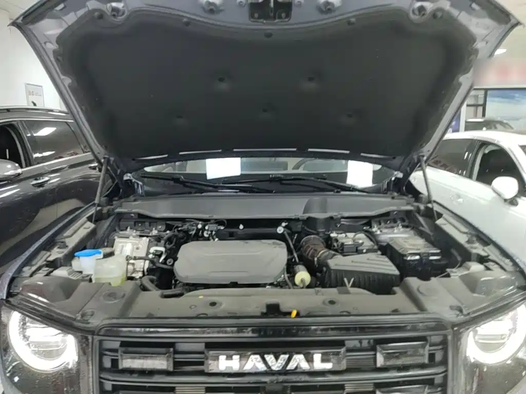 Фото 20 - Haval Dargo