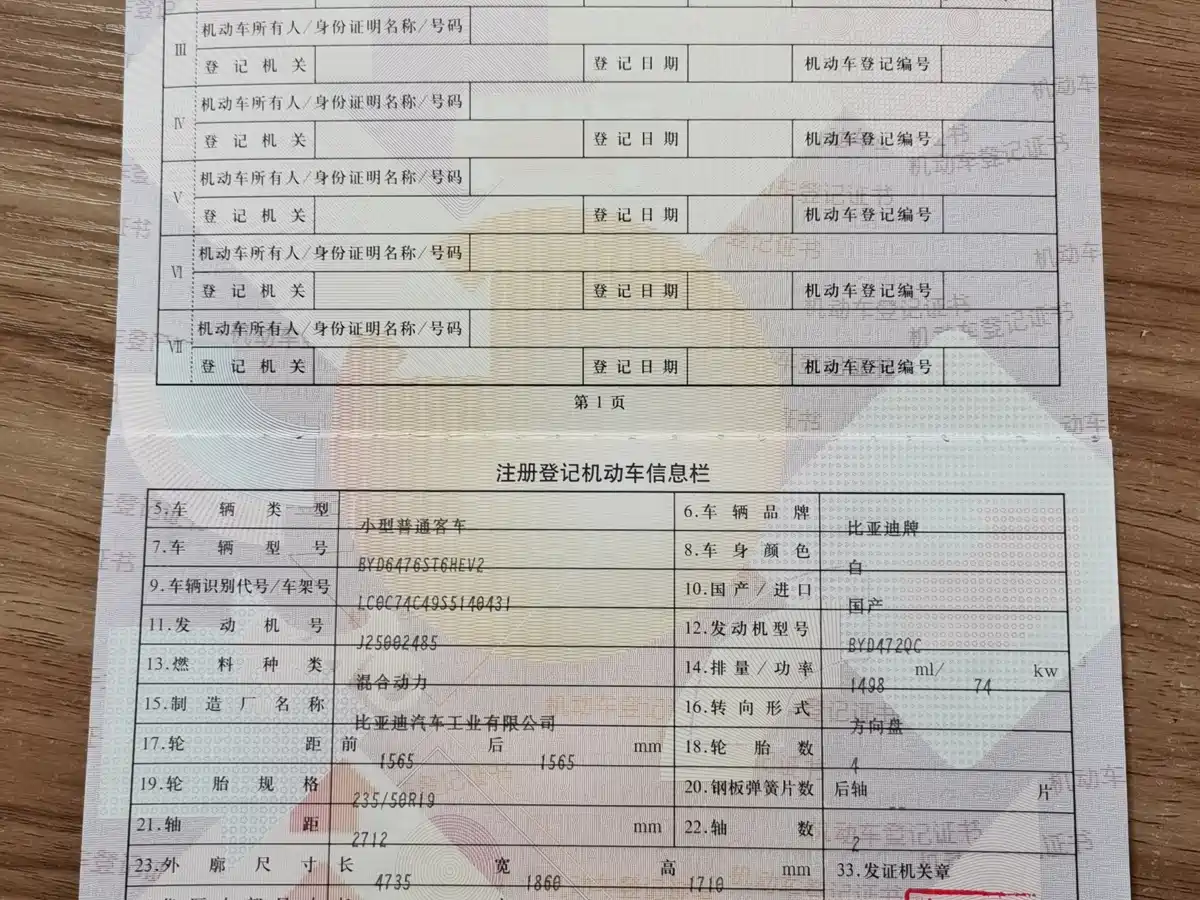 BYD SONGJIANG NEW ENERGY