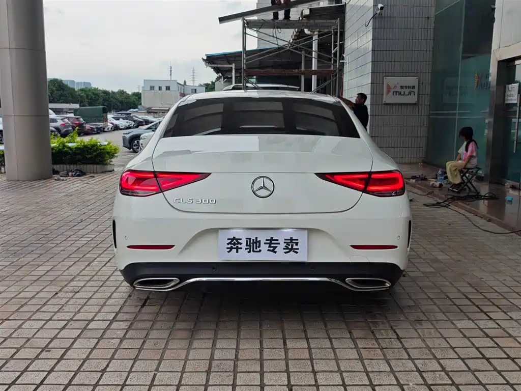 Mercedes-Benz CLS 2018 CLS 300 Luxury фото 5