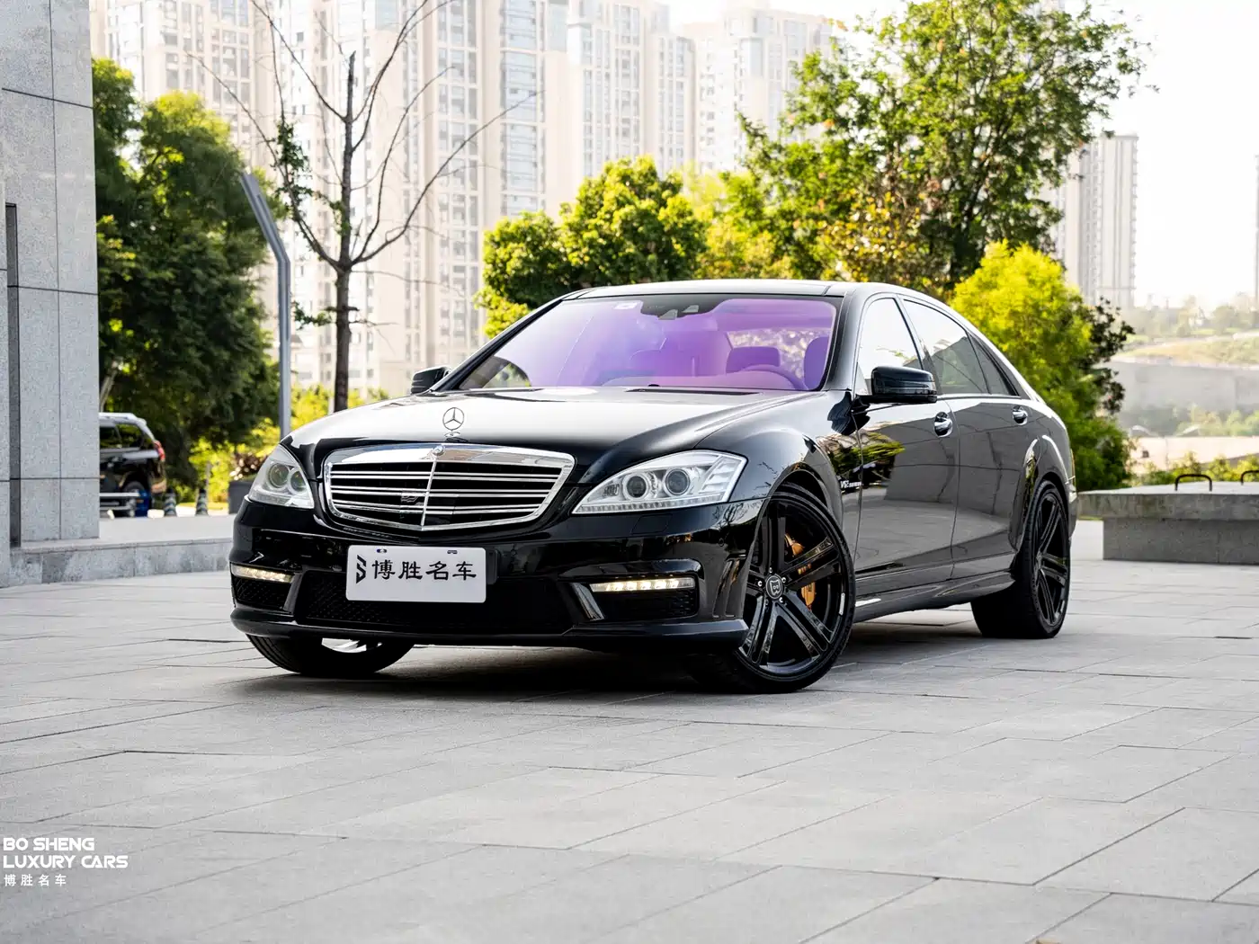Mercedes-Benz S-Class AMG 2010 AMG S 65 фото 10