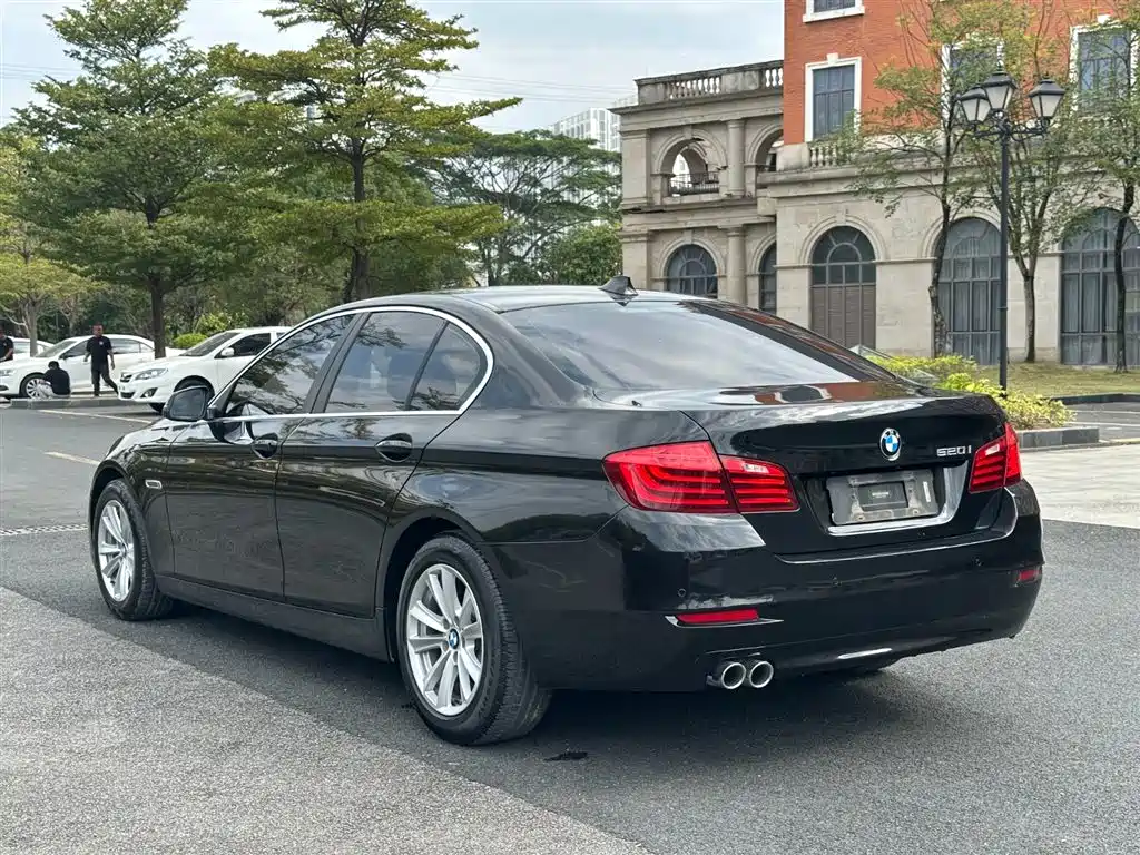 BMW 5 Series (Import) 2015 520i Elegance фото 15