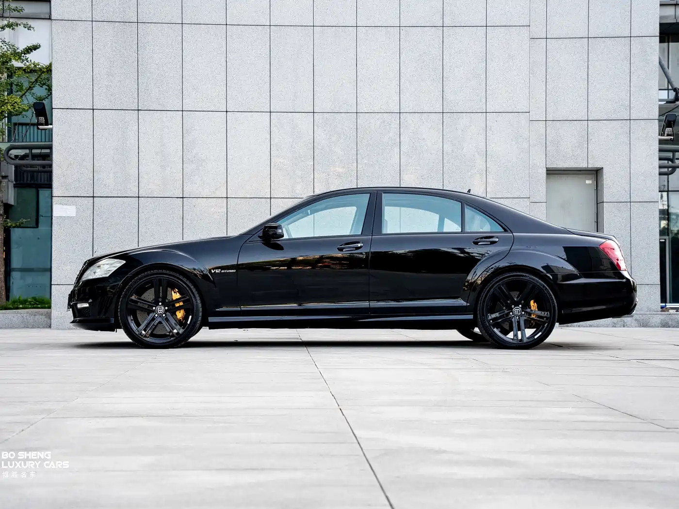 Mercedes-Benz S-Class AMG 2010 AMG S 65 фото 4